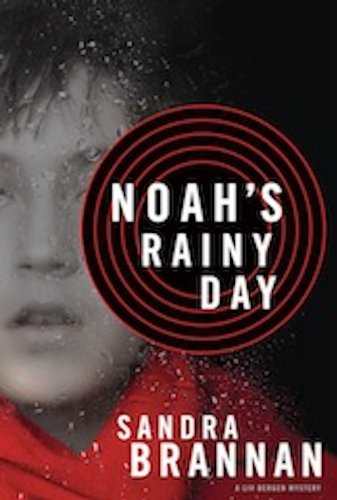 Noah’s Rainy Day cover