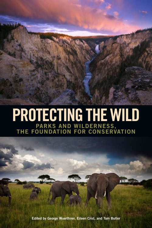 protecting the wild cover