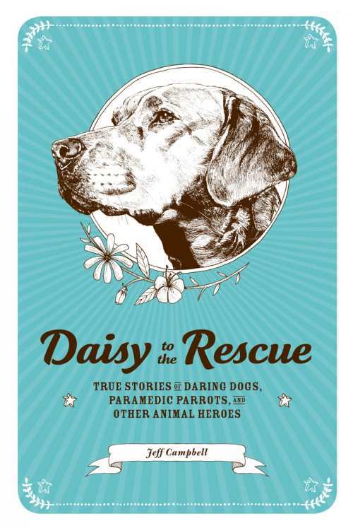 daisy to the rescue cover