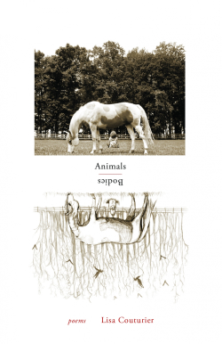 animals / bodies