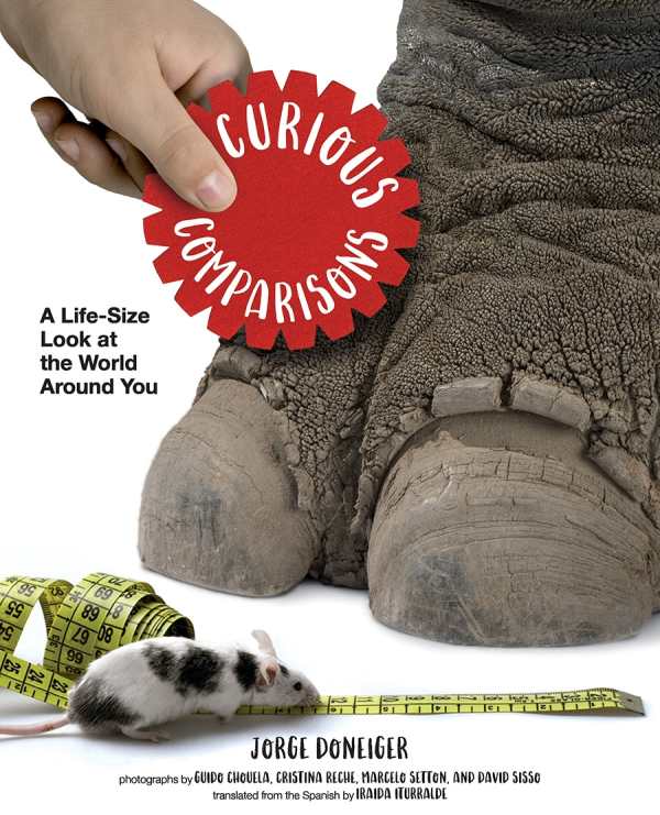 amazon curious bear