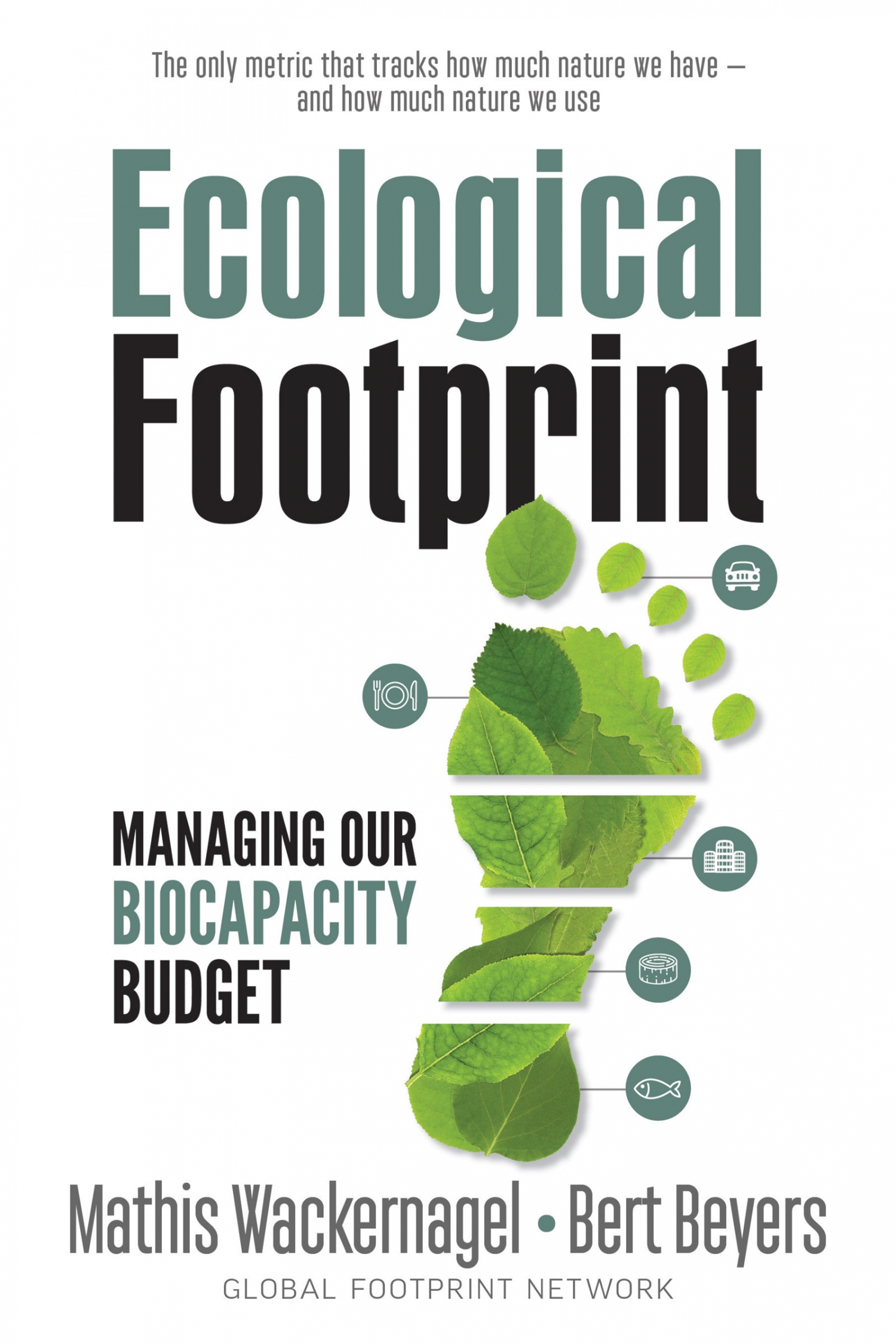 review-of-ecological-footprint-9780865719118-foreword-reviews