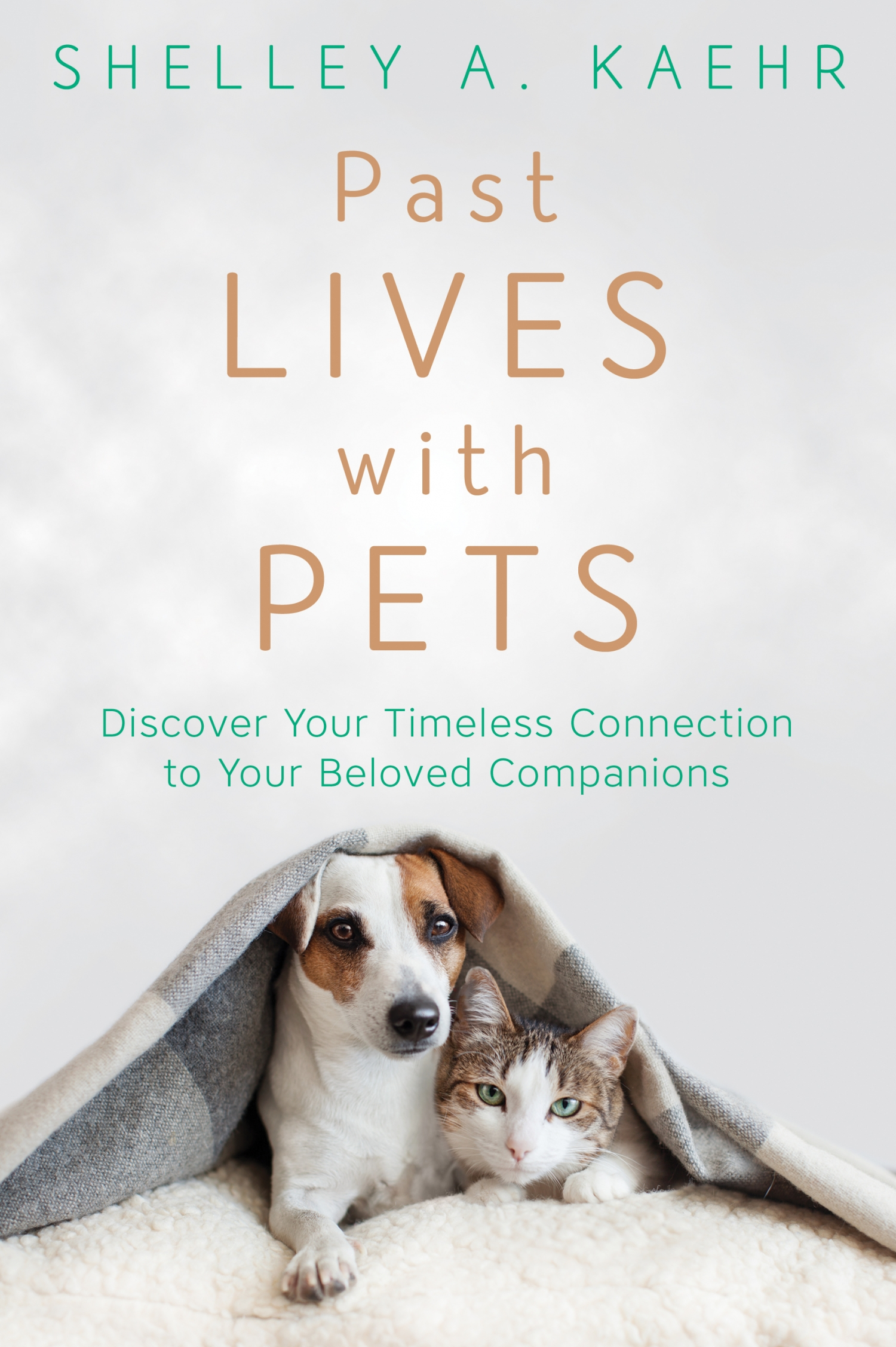 Review of Past Lives with Pets (9780738764504) — Foreword Reviews