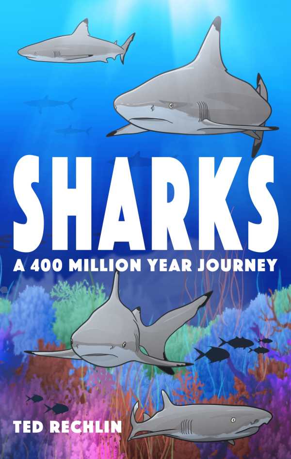 shark r201 review