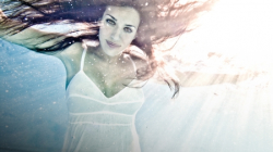 northrup stunning digital photography