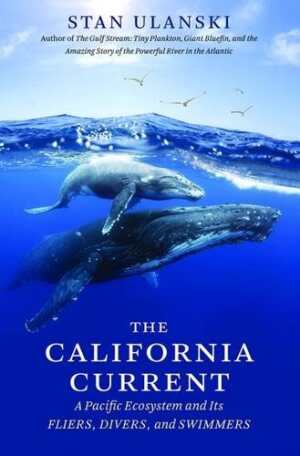 April S 10 Great New Indie Releases Foresights