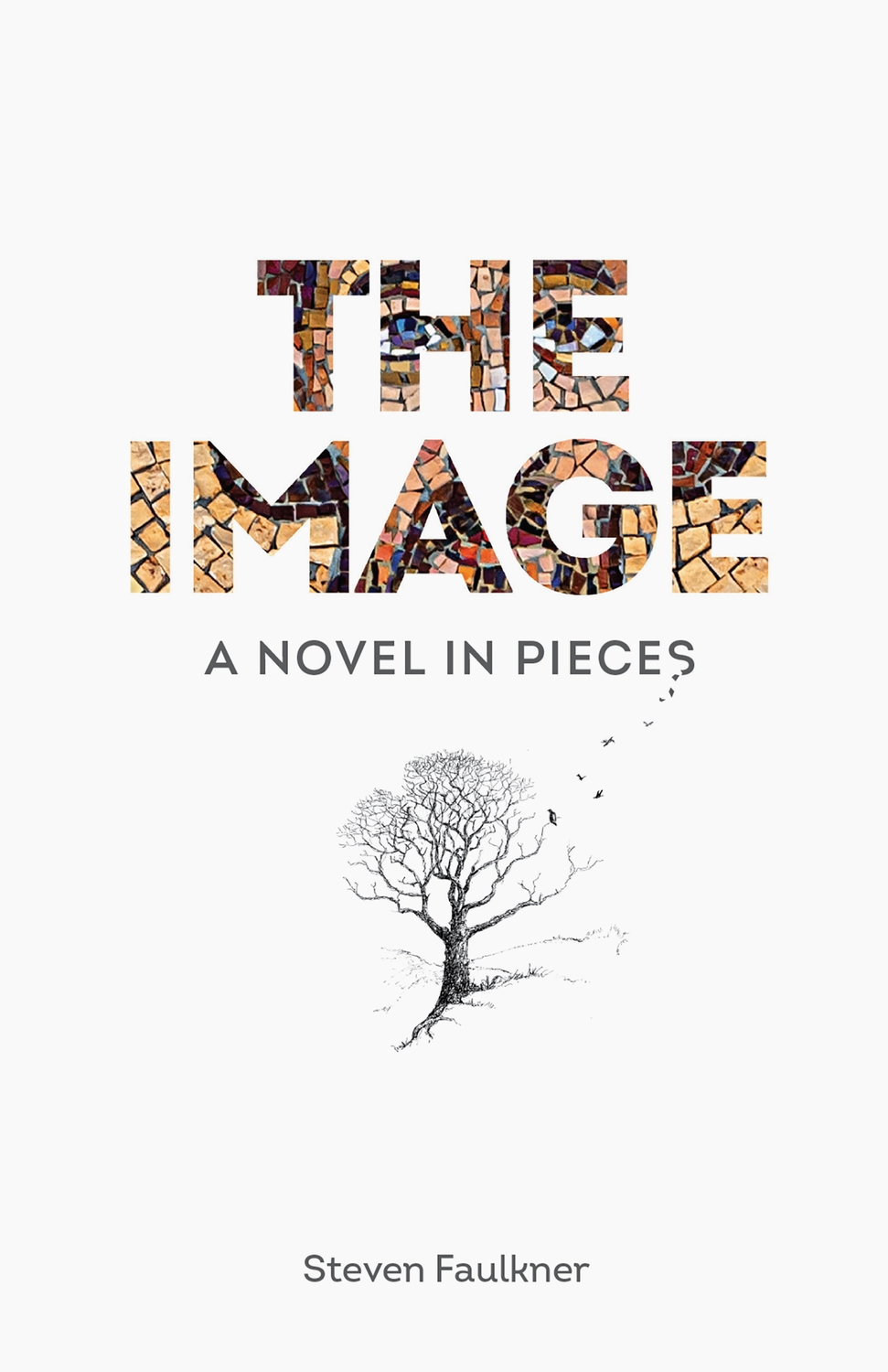 The Image 2021 Foreword Indies Winner — Foreword Reviews