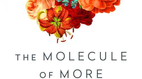 https://www.forewordreviews.com/books/covers/the-molecule-of-more.w250.h140.jpg