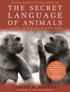Secrete Language of Animals
