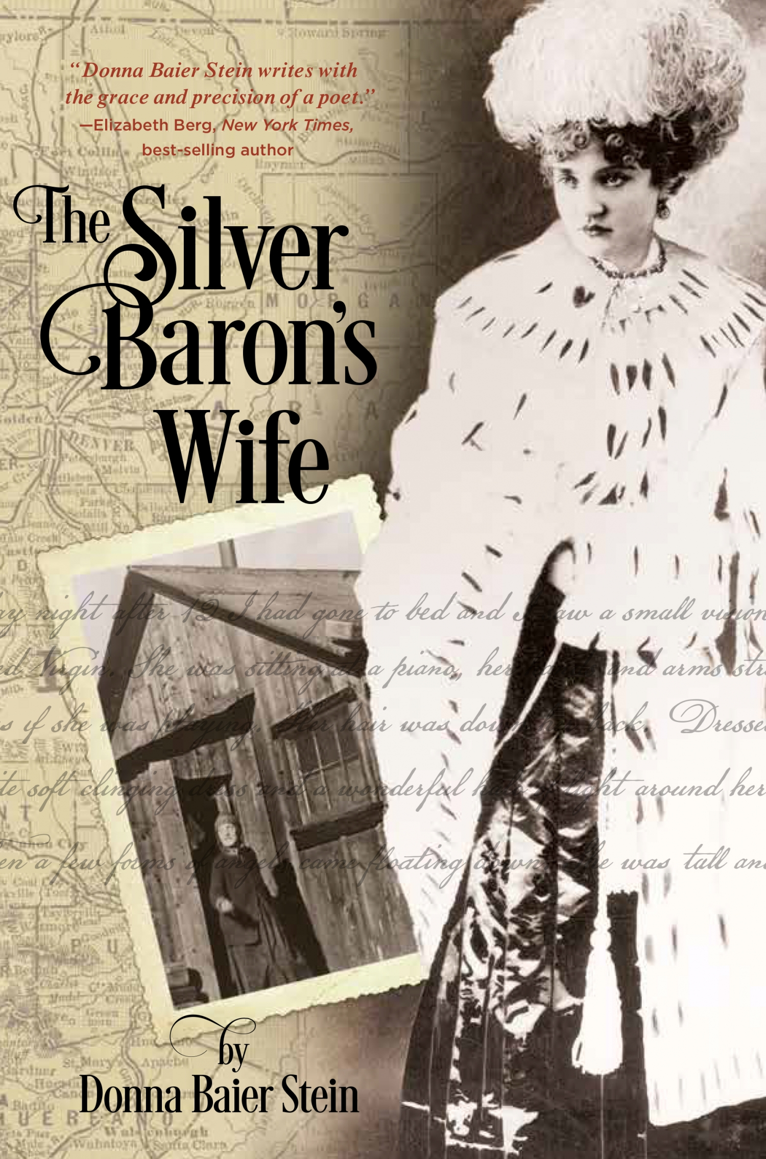 Review Of The Silver Baron S Wife 9780997101065