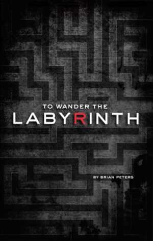 To Wander the Labyrinth Cover