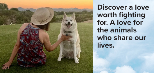 The Unseen Sacrifice