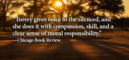 Chicago Book Review quote