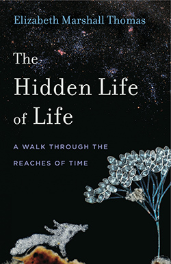Cover of The Hidden Life of Life