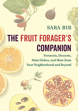 The Fruit Forager cover