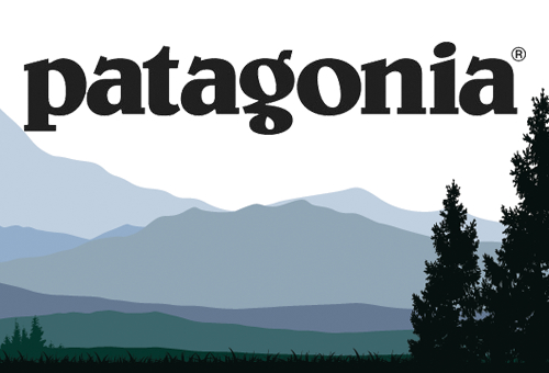 Patagonia image and mountain and pine trees background
