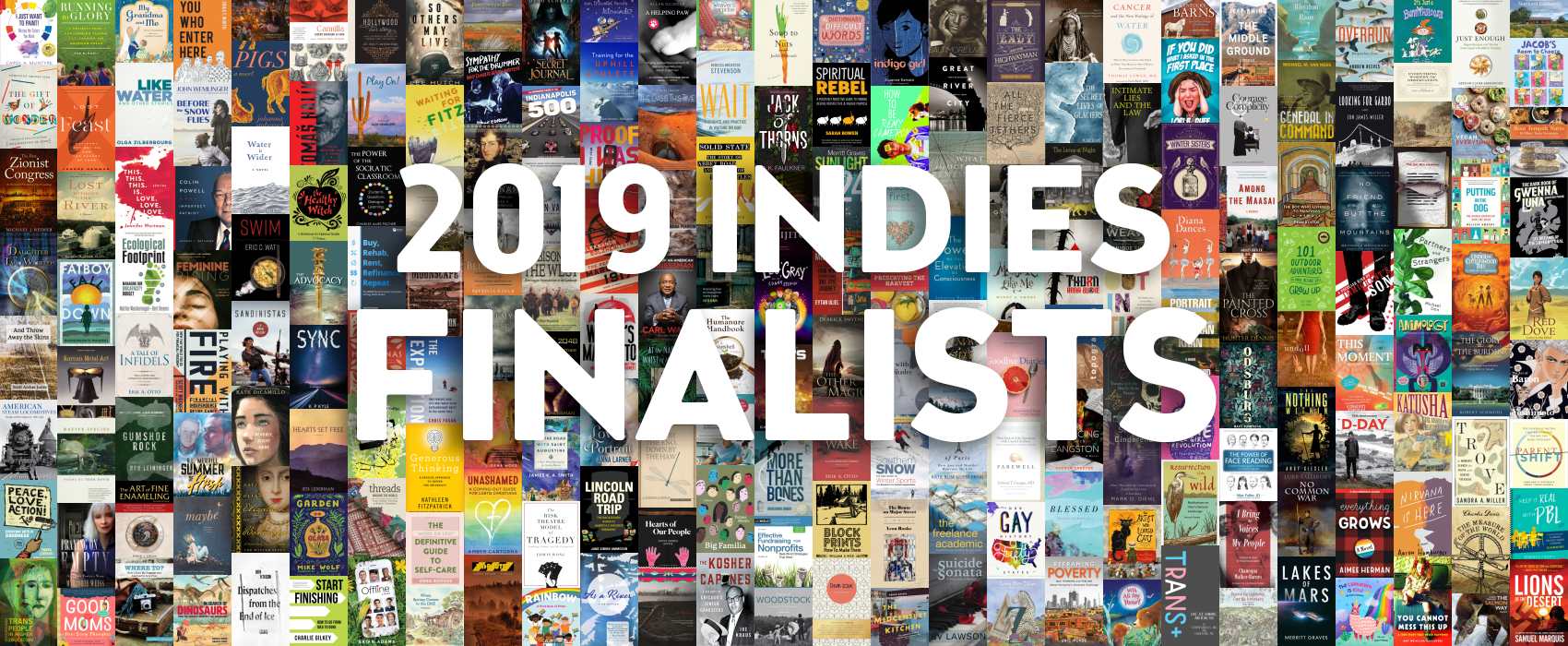 “2019 INDIES Finalists” on top of collage of finalists’ book covers.