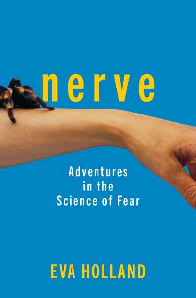 Nerve Cover