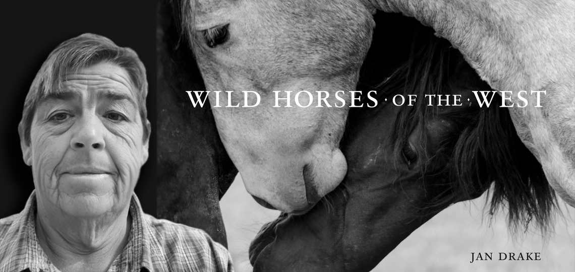 Wild Horses of the West billboard