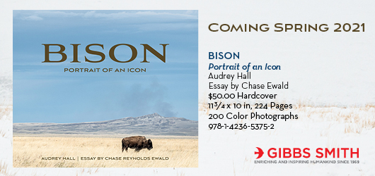 Bison: Portrait of an Icon Coming Spring 2021 Audrey Hall Essay by Chase Ewald $50.00 Hardcover 11 3/4x10in, 224 pages, 200 color photographs 978-1-4236-5375-2 Gibbs Smith Enriching and inspiring humankind since 1969