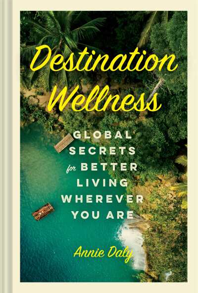 Destination Wellness cover