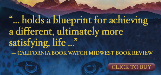 “…holds a blueprint for achieving a different, ultimately more satisfying, life…“ California Book Watch Midwest Book Review Click to buy