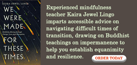 Kaira Jewel Lingo We Were Made for These Times -Experienced mindfulness teacher Kaira Jewel Lingo imparts accessible advice on navigating difficult times of transition, drawing on Buddhist teachings on impermanence to help you establish equanimity and resilience. Order Today