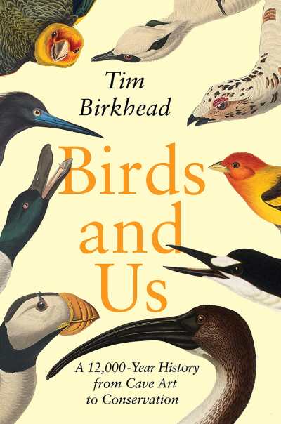 Birds and Us cover