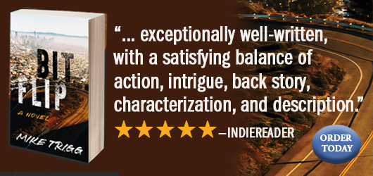 “…exceptionally well-written, with a satisfying balance of action, intrigue, back story, characterization, and description.“ 5 Stars Indiereader Order today