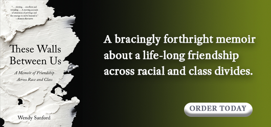 These Walls Between Us-A bracingly forthright memoir about a life-long friendship across racial and class divides. Order Today