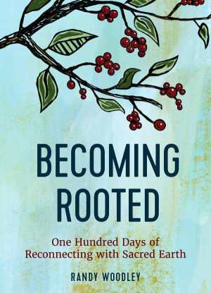 Becoming rooted cover