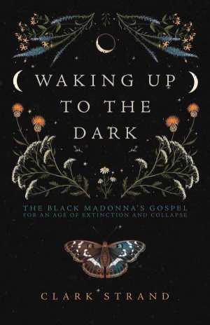waking up in the dark cover